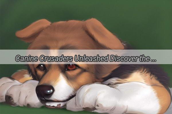 Canine Crusaders Unleashed Discover the Heroes That Protect Our Furry Friends